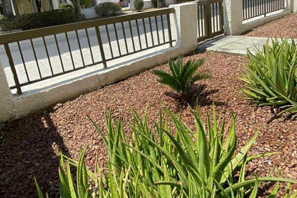 Apartament Dalia 9 Pafos Zewnętrze zdjęcie